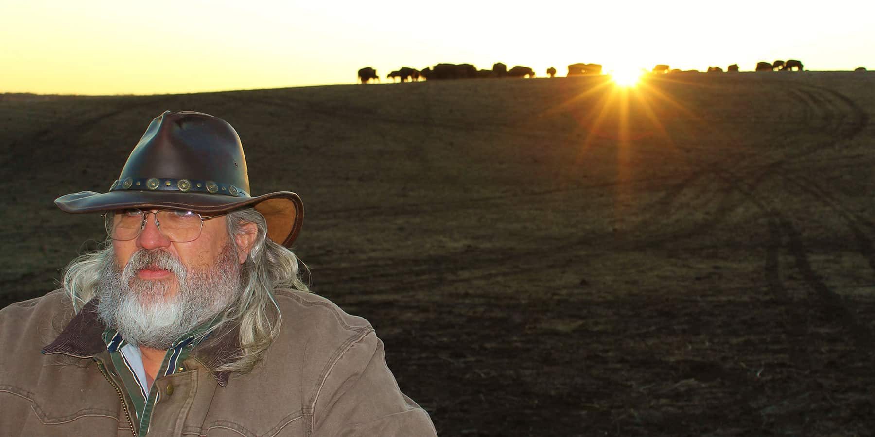 About Buffalo Hills Bison Meat A Man Stands Near The Camera With Buffalo In The Background As The Sun Sets.